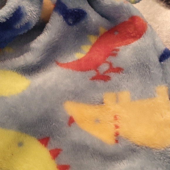 Soft plush dinosaur print robe - Picture 3 of 3
